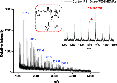 MALDI-ToF of control polymer P1: Bnz-p(PEGMEMA).