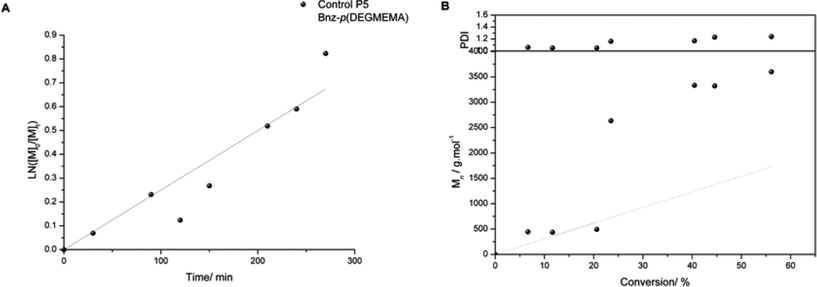 Kinetic plot of Control P5 Bnz-p(DEGMEMA) (a) and evolution of Mn and PDI with conversion (b). (Grey points indicate theoretical Mn). Synthesis Conditions: CuBr, N-(n-ethyl)-2-pyridylmethanimine, toluene, 70 °C.