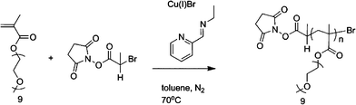 General reaction conditions for reactive NHS-p(PEGMEMA).