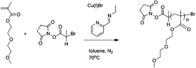 General reaction conditions for reactive NHS-p(DEGMEMA)