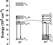 Schematic representation of energy transfer from Bi2+ to Eu3+ in bismuth glass.