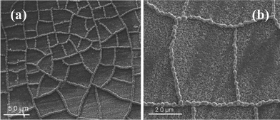 
          SEM images of Co microparticle chain networks with different magnifications.