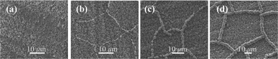 The evolvement sequence of Co microparticle chain networks on Ni thin layer from (a)→(b)→(c)→(d). (a) 0 min; (b) 10 min; (c) 30 min; (d) 80 min.