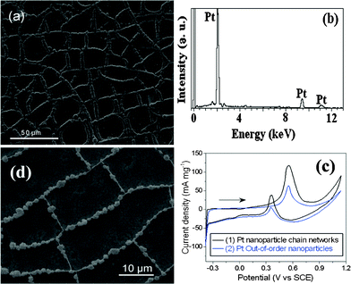 (a) SEM image of Pt microparticle chain networks on Pt thin layer. (b) EDS pattern of Pt microparticle chain networks on Pt thin layer; (c) CV curves of methanol oxidation on (1) Pt microparticle chain networks on Pt thin layer and (2) out-of-order Pt microparticles recorded in solution of 0.5 M·H2SO4 + 1.0 M·CH3OH at room temperature at 50 mV s−1; (d) SEM image of Pt–Pd alloy microparticle chain networks on Pt–Pd thin layer.