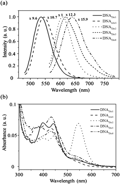 (a) Fluorescence and (b) UV–Vis spectra of the five distinct DNA–Ag NCs. Each of the mixtures, containing phosphate (20 mM, pH 7.0), AgNO3 (300 μM), a DNA template (50 μM), and NaBH4 (300 μM), was reacted at 27 °C for 6 h. The fluorescence colors of the products DNATAr1–Ag, DNAAAr1–Ag, DNATAr2–Ag, DNATAr5–Ag, and DNATAr6–Ag NCs were green, yellow, orange, saffron, and red, respectively. The fluorescence intensities have all been normalized to 1.0. Excitation wavelength: 460 nm for the first two NCs; 540 nm for the others.