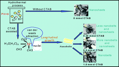 Schematic illustration of the proposed growth mechanism of BSO nanostructures.