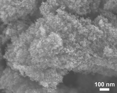 
            Field emission scanning electron microscopy (FESEM) image of ZrC nanoparticles grown in liquid ethanol (99.5%) by pulsed plasma.