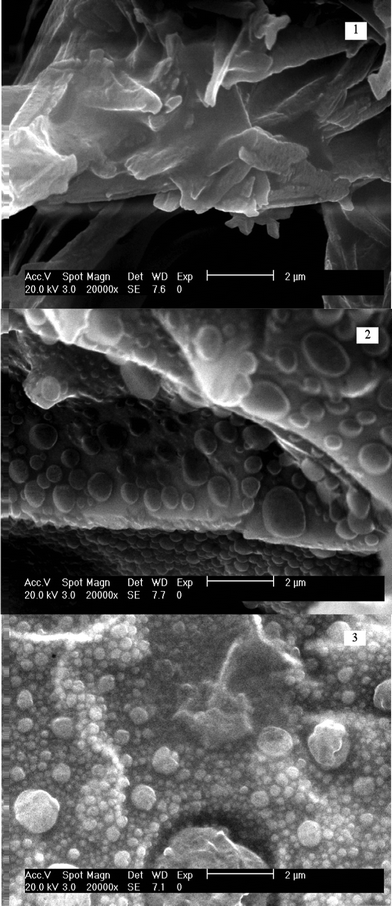 Selected SEM images of (1) Eu–HIPA–Si hybrid materials, (2) Eu–2HIPA–Si–1PAM hybrid materials with the molar ratio of PAM/HIPA is 1 : 2 and (3) Eu–1HIPA–Si–1PAM hybrid materials with the molar ratio of PAMSi/HIPASi is 1 : 1.