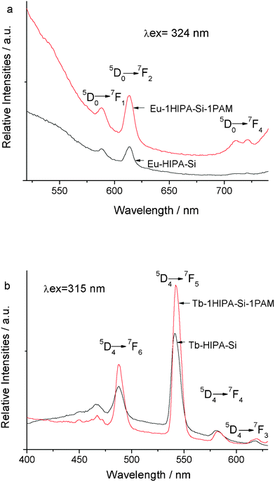 Selective emission spectra of Eu–1HIPA–Si–1PAM hybrids and pure europium hybrids without PAM chain Eu–HIPA–Si (a) and Tb–1HIPA–Si–1PAM hybrids and pure terbium hybrids without PAM chain Tb–HIPA–Si (b).