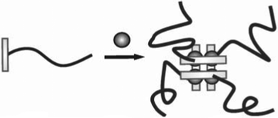 
          Ref. 90. Star-shaped polymeric [2 × 2] grid-like copper(I) complexes of 188 with copper(I) ions.