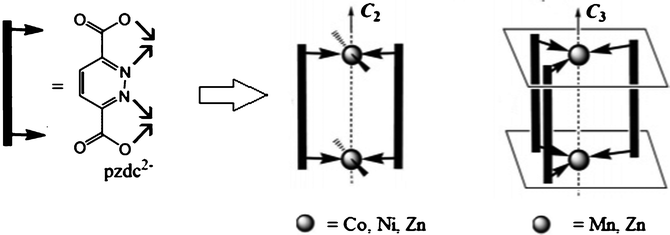 
          Ref. 107. Structure of the complexes obtained with pzdc2− and various metal cations.