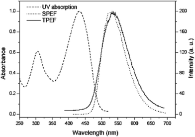 The UV absorption and single-photon-excited fluorescence (SPEF) spectra (c = 5.0 × 10−6 M) and the two-photon-excited fluorescence (TPEF) (c = 1.0 × 10−4 M) of 103 in DCM.