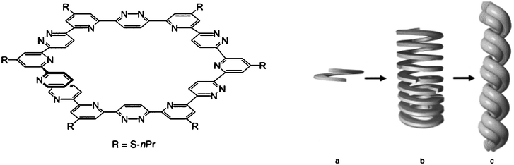 
          Ref. 79. Schematic representation of the hierarchical self-assembly of compound 169. The self-organized lock-washer structure (a) of 169 is proposed to self-assemble to form protofibrils or filaments (b), and fibrils (c).