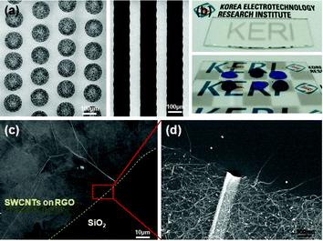 (a) Dot and line SWCNT patterns on GO patterns prepared by inkjet printing with GO dispersion solution in water. (b) Digital photo images of the macroscopic SWCNT patterns on the SiO2 surfaces: the bottom image is the angled view of aqueous ink droplets on the SWCNT patterned surface. (c) Selective deposition of the SWCNTs on moderately reduced GO layer. (d) Magnified image of the rectangular area in (c).