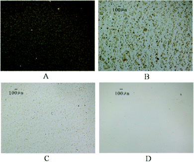 
              Optical micrographs of the mixtures after mixed solvents with different NMP/IL ratios dissolve DCLR. Conditions: [bmim]Cl/DCLR = 1/10 (w/w), T = 90 °C, time = 120 min, NMP/IL = for A: 0; B: 0.5; C: 1.5; D: 2.0.