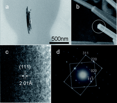 (a) TEM image of an ultra-thin section of the sample. (b) SEM image of Cu nanocables wrapped with little cross-linked PVA obtained after reaction for 3 h. (c) HRTEM image taken on the area marked in (a), and (d) SAED pattern indicating that five-fold twinning exists in the inner Cu nanowires.