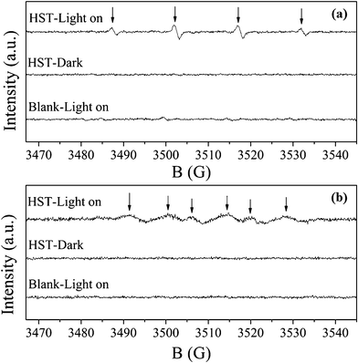 
            ESR spectra observed for HST-8. The active species are ˙OH (a) and ˙O2− (b) irradiated for 80 s.