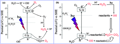 Mechanisms of photocatalytic redox reaction over HST.