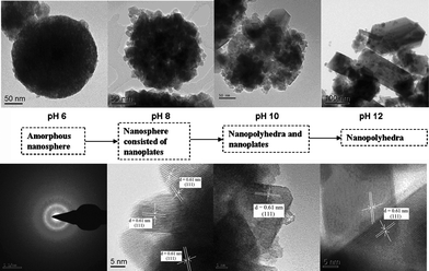 High-magnification TEM images of the HST samples prepared at 200 °C for 48 h under different pH values.