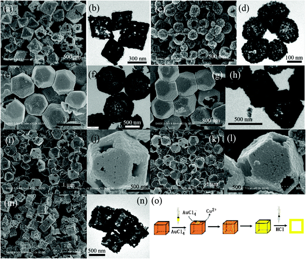 
          SEM and TEM images of Au nanocages prepared using Cu2O crystals as self-templates: (a, b) octahedron, (c, d) spherical NP, (e, f) cuboctahedron, (g, h) truncated octahedron, (m, n) concave cube; (i, j) and (k, l) SEM images with different magnifications of cuboctahedral and truncated octahedral Au nanoframes; (o) schematic procedures for the synthesis of cubic Au nanocages.