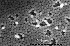 
          SEM image of the silica nanosphere layers on a Si wafer.