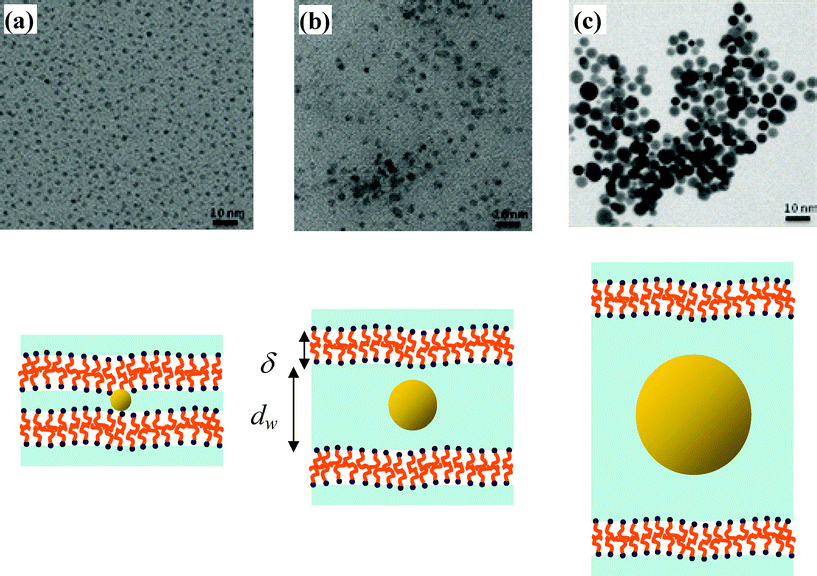 TEM pictures of the gold nanoparticles obtained for the three lamellar phases with increasing water layer thicknesses (a) dw = 1.3 nm, (b) dw = 5.9 nm and (c) dw = 14.3 nm and a schematic representation of the different lamellar phases containing gold NPs. Nanoparticles are spherical and have a mean diameter measured by TEM of 1.5 ± 0.5 nm, 3.5 ± 0.5 nm and 8.5 ± 1.5 nm, respectively. For simplicity, only the gold cores of the NPs are drawn without the CTAB ligands.