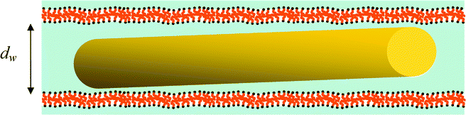 Drawing of a gold nanorod confined within the lamellar mesophase. Because of the NP dimensions (D < dW < L), its long axis is expected to be oriented along the lamellar planes. For simplicity, only the gold cores of the NRs are drawn without the CTAB ligands.