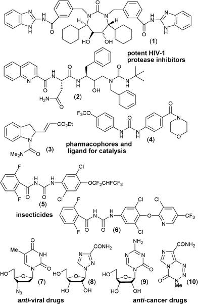 Examples of some biologically important molecules having ureido moiety.