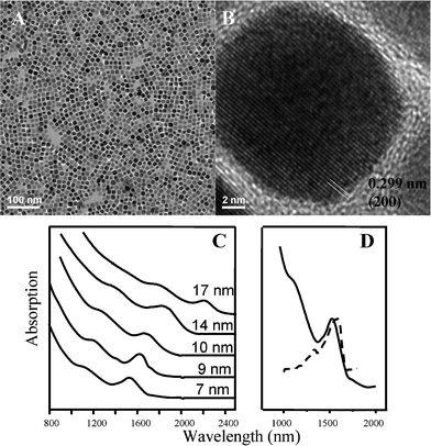 (A) Low-magnification TEM image of PbS NCs; (B) HRTEM image of single PbS NCs. (C) Absorption spectra spanning the range of 7 nm to 17 nm. (D) Band-edge absorption and photoluminescence peaks for a sample ∼7 nm.