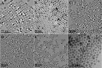 
          TEM images of (A) 9 nm, (B) 12 nm and (C) 16 nm of oleylamine capped PbS NCs. The size increase was controlled by increasing the reaction time; the effects of the chain length of alkylamine are shown in (D) oleylamine, (E) dodecylamine and (F) octylamine capped PbS NCs.