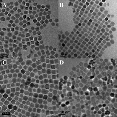 
          TEM images of PbS NCs by changing the volume ratio of OA to water: (A) 10 : 0.5; (B) 10 : 1; (C) 10 : 2.5 and (D) 10 : 5.