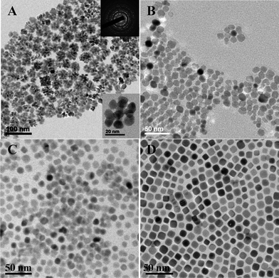 PbS shapes measured in toluene solution with different setting times: (A) 0 h, (B) 1 h, (C) 5 h, (D) 24 h.