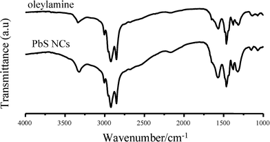 
          FTIR spectra of oleylamine and PbS NCs.