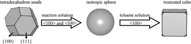 Schematic graph of the structure formation process of PbS NCs.