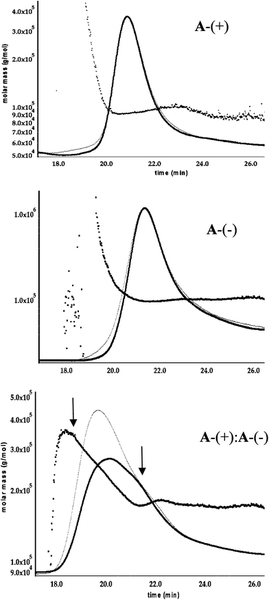 Analysis of A-(+) : A-(−) complex formation by SEC—MALLS. Detection is by refractive index (thin trace) and by MALLS (thick line). In all cases some tailing of proteins is observed. The number average molecular weight, Mn, of the eluted protein, calculated from MALLS, is shown plotted as a function of elution volume. A-(+) and A-(−) elute as monodisperse species as evidenced by the close correspondence of the MALLS and RI traces. The 1 : 1 mixture of A-(+) and A-(−) (bottom trace) clearly shows the presence of more than one species. Mn at the leading and lagging edges of the peak (marked by arrows) are consistent with the formation of a A-(+)2A-(−)2 tetramer and a A-(+)A-(−) dimer respectively.