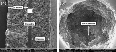 (a) SEM micrograph showing a cross sectional view of the sintered SOFCs with two symmetric NiO/YSZ electrodes after reduction and further acid cleaning. (b) SEM image of the resulting electrode after impregnation with LSCM. Reproduced from ref. 45 with permission.