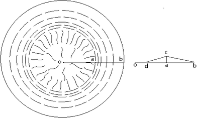 Schematic of CNT orientation in a dried droplet illustrating the bend arrangement along the circular edge in the range of ΔR (the distance between point a and b) and the radial direction distribution with graphic different densities inside the circle of radius R (R = R0 − ΔR, in which, R is the distance between point o and a, and R0 is the distance between o and b). Therein r denotes any position in the drying-formed liquid crystalline wedge ΔR (also with graphic different densities). And the right diagram describes the cross section through the origin in droplets, which illustrates that the highest nanotube distributive densities lie in the dividing line between radial and concentric regions and the distance between o and d denotes the rare nanotube distributive densities.