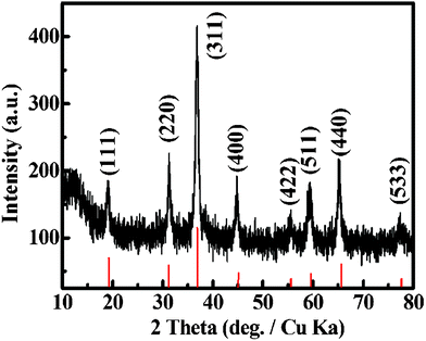 XRD and corresponding standard (indicated by the red lines) patterns of the as-synthesized Co3O4 sample.