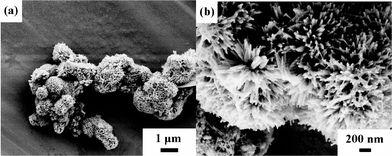 FESEM images of the as-synthesized Co3O4 sample.