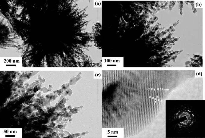 Bright-field (a, b and c) TEM, HR-lattice (d) TEM images and corresponding SAED (the inset in d) of the as-synthesized urchin-like Co3O4 microspherical superstructures.