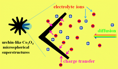 Schematic of the optimized ion diffusion path in urchin-like Co3O4 microspherical hierarchical superstructures.