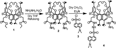 Synthesis of compound 4.