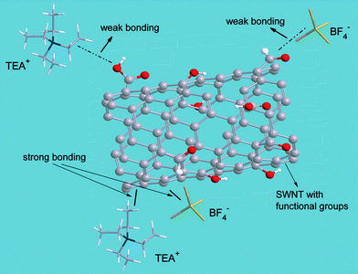 Illustration of the two types of bonding. Strong-bonding (the solid lines) is the electrostatic interaction between the SWNT surface and the electrolytic ions (TEA+, BF4−); whereas, the weak-bonding (the dashed lines) is the electrostatic interaction between the SWNT and TEA+ or BF4−, but with interference of the functional groups attached to the SWNT surface.