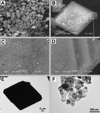 
          SEM and TEM images of the hierarchical Bi7O9I3 microplates at different magnifications, (A) low-magnification SEM image, (B) an individual architecture viewed from the frontal perspective, (C) high-magnification SEM image of a top-view image of (B), (D) high-magnification SEM image at the edge of (B), (E) TEM image of individual microplates, and (F) TEM image of small fragments of the sample.