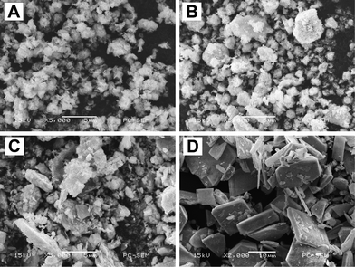 
          SEM images of Bi7O9I3 samples attained after reaction for (A) 5 min, (B) 30 min, (C) 1 h and (D) 3 h.