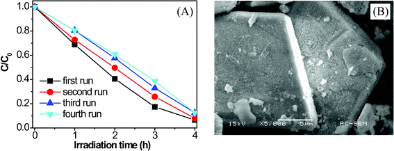 (A) Reuse of the hierarchical Bi7O9I3 microplates and (B) SEM image of the Bi7O9I3 microplates after the fourth run of photocatalytic reaction.