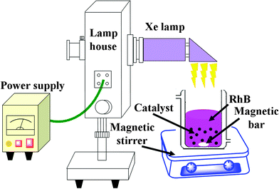 Schematic illustration of the photocatalytic testing setup.