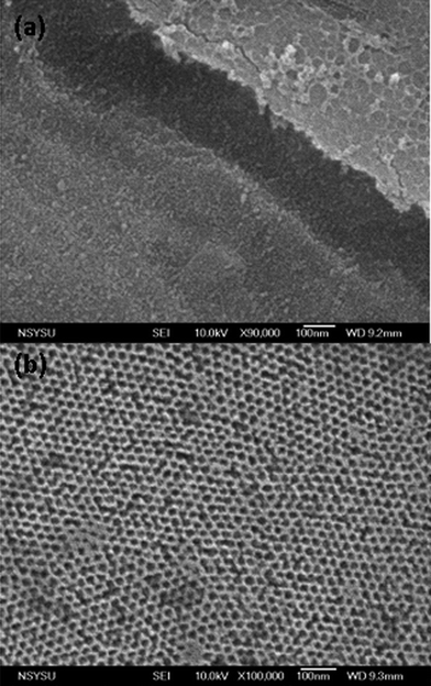 
            FE-SEM images of mesoporous silicas templated by PEO-b-PCL with different TEOS/PEO-b-PCL weight fractions: (a)1/1 and (b)5/1.