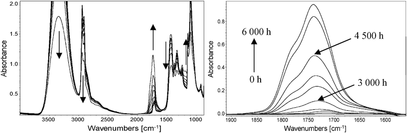 (left) Direct IR spectra of a PVA film photooxidized at λ > 300 nm and 60 °C in the SEPAP 12/24 device for 6000 h. (right) Subtracted spectra in the carbonyl region.