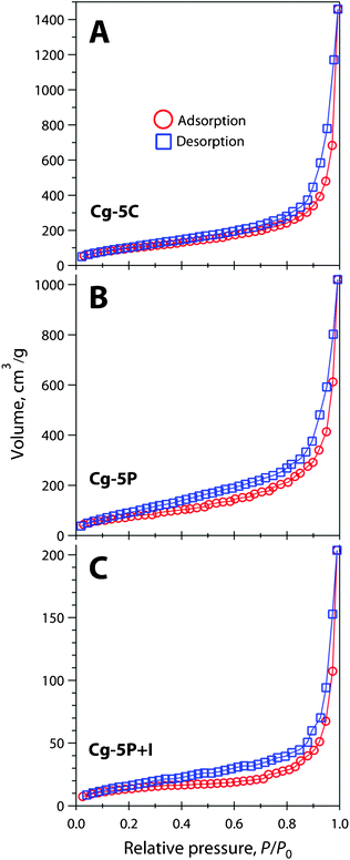 BET isotherms for (A) Cg-5C, (B) Cg-5P, and (C) Cg-5P+I collected after degassing at 25 °C for 16 h. Adsorption (○) and desorption (□) are presented as separate datasets.